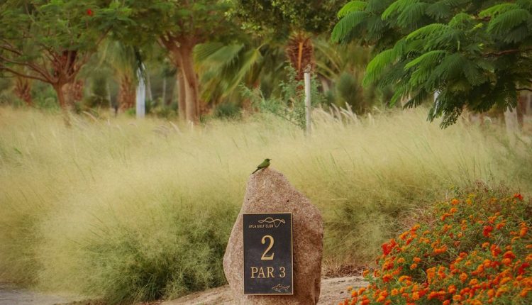 صورة واتساب بتاريخ 2025-07-03 في 12.38.32_4cef0db3