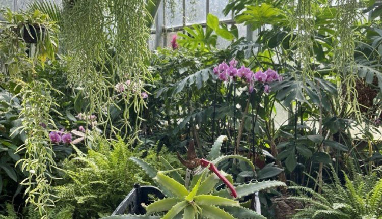 09cd0325-d197-4d33-a110-f26ec4c28c0f