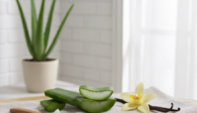 523547a5-5b78-49f9-aa6a-c059bcf6b2b9