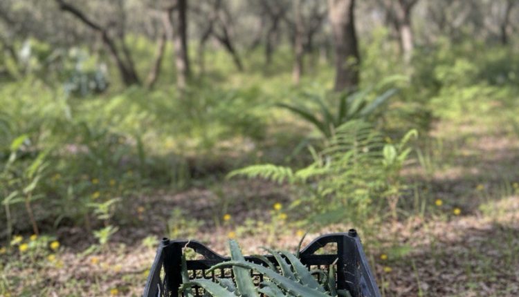 fb4a1a00-2bb3-48b1-842b-a9936e40d473